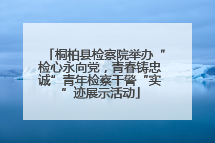 桐柏县检察院举办“检心永向党，青春铸忠诚”青年检察干警“实”迹展示活动