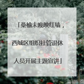 桑榆未晚映红墙，西城区组织社管退休人员开展主题宣讲