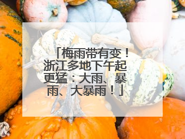 梅雨带有变！浙江多地下午起更猛：大雨、暴雨、大暴雨！