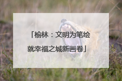 榆林：文明为笔绘就幸福之城新画卷