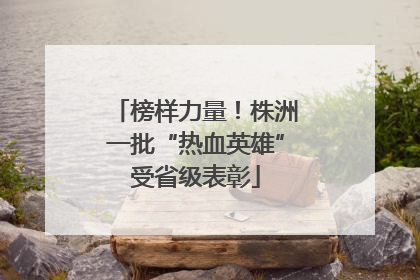 榜样力量！株洲一批“热血英雄”受省级表彰