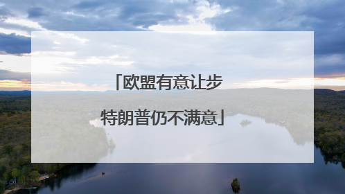 欧盟有意让步 特朗普仍不满意