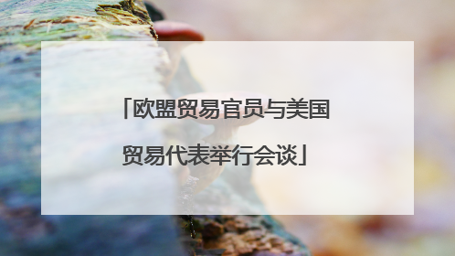 欧盟贸易官员与美国贸易代表举行会谈