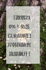 激增210%！免签以来昆明口岸韩国旅客流量飙升