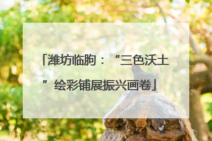 潍坊临朐：“三色沃土”绘彩铺展振兴画卷