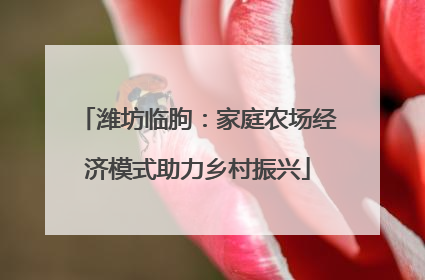 潍坊临朐：家庭农场经济模式助力乡村振兴