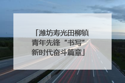潍坊寿光田柳镇青年先锋“书写”新时代奋斗篇章