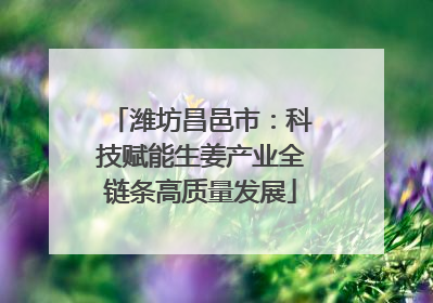 潍坊昌邑市：科技赋能生姜产业全链条高质量发展