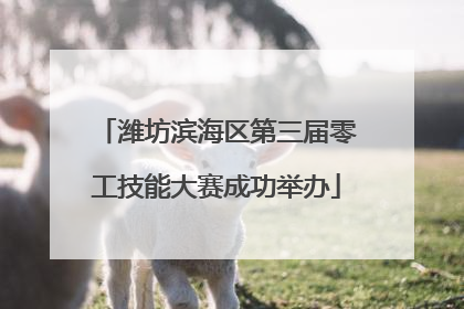 潍坊滨海区第三届零工技能大赛成功举办