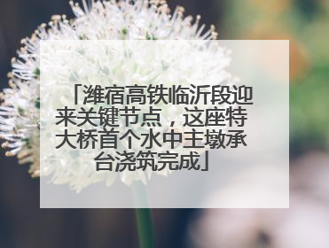 潍宿高铁临沂段迎来关键节点，这座特大桥首个水中主墩承台浇筑完成