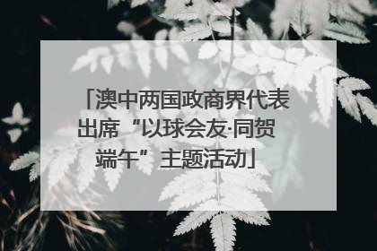 澳中两国政商界代表出席“以球会友·同贺端午”主题活动