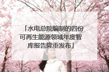 水电总院编制的四份可再生能源领域年度智库报告隆重发布