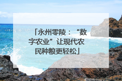 永州零陵：“数字农业”让现代农民种粮更轻松