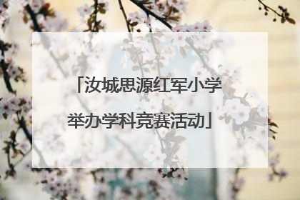 汝城思源红军小学举办学科竞赛活动