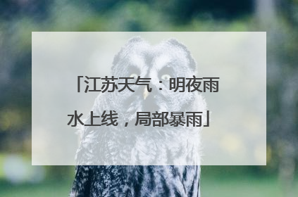江苏天气：明夜雨水上线，局部暴雨