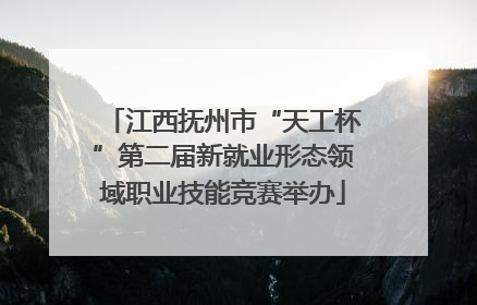 江西抚州市“天工杯”第二届新就业形态领域职业技能竞赛举办
