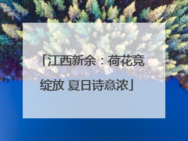 江西新余：荷花竞绽放 夏日诗意浓