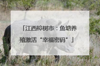 江西樟树市：鱼塘养殖激活“幸福密码”
