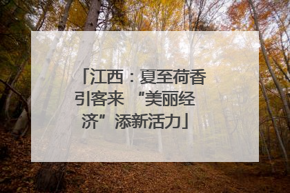 江西：夏至荷香引客来 “美丽经济”添新活力