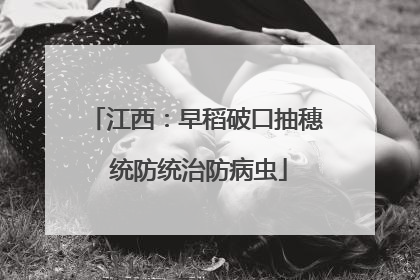 江西：早稻破口抽穗 统防统治防病虫