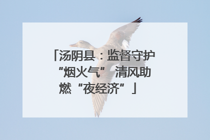 汤阴县：监督守护“烟火气” 清风助燃“夜经济”