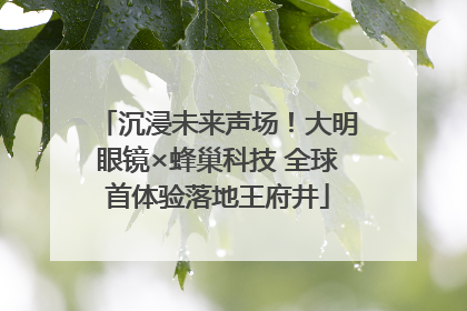 沉浸未来声场！大明眼镜×蜂巢科技 全球首体验落地王府井