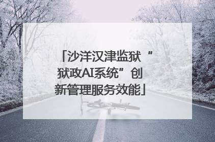 沙洋汉津监狱“狱政AI系统”创新管理服务效能