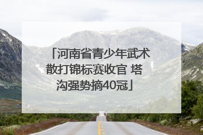 河南省青少年武术散打锦标赛收官 塔沟强势摘40冠