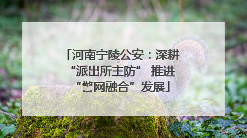 河南宁陵公安：深耕“派出所主防” 推进“警网融合”发展