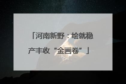 河南新野：绘就稳产丰收“金画卷”