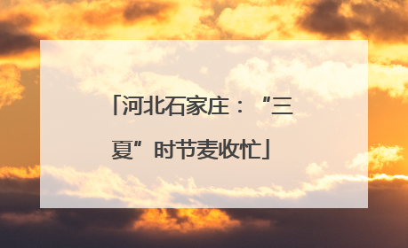 河北石家庄：“三夏”时节麦收忙