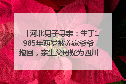 河北男子寻亲：生于1985年两岁被养家爷爷抱回，亲生父母疑为四川仪陇人｜红星寻人