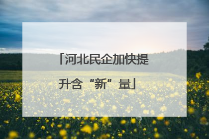 河北民企加快提升含“新”量