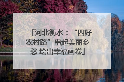 河北衡水：“四好农村路”串起美丽乡愁 绘出幸福画卷