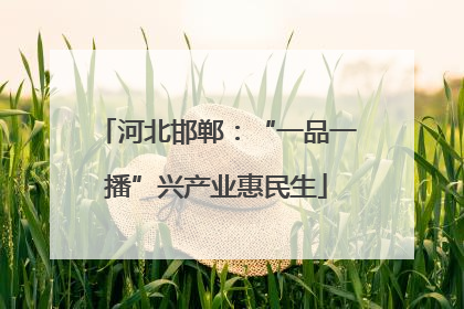 河北邯郸：“一品一播”兴产业惠民生
