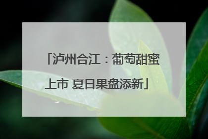 泸州合江：葡萄甜蜜上市 夏日果盘添新