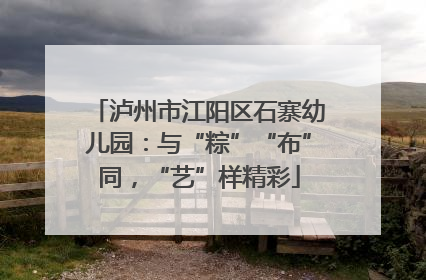 泸州市江阳区石寨幼儿园：与“粽”“布”同，“艺”样精彩