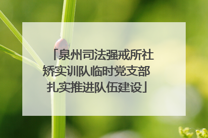 泉州司法强戒所社矫实训队临时党支部扎实推进队伍建设