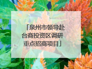 泉州市领导赴台商投资区调研重点招商项目