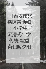 泰安市岱岳区黄前镇：小学生“沉浸式”学传统 粽香荷包暖夕阳