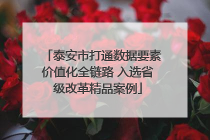 泰安市打通数据要素价值化全链路 入选省级改革精品案例