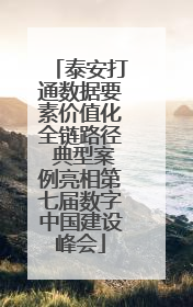 泰安打通数据要素价值化全链路径 典型案例亮相第七届数字中国建设峰会