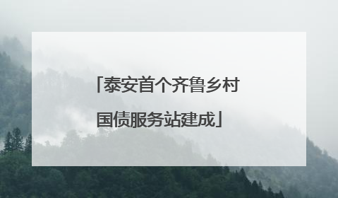泰安首个齐鲁乡村国债服务站建成