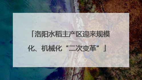 洛阳水稻主产区迎来规模化、机械化“二次变革”
