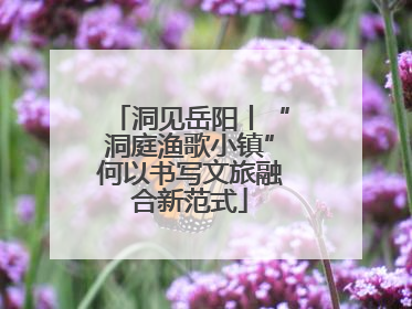 洞见岳阳丨“洞庭渔歌小镇”何以书写文旅融合新范式
