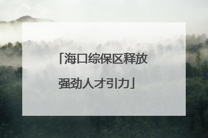 海口综保区释放强劲人才引力