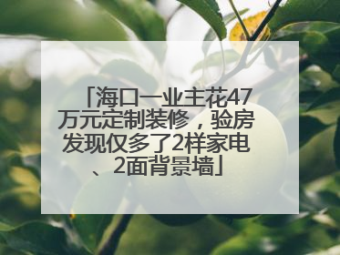 海口一业主花47万元定制装修，验房发现仅多了2样家电、2面背景墙