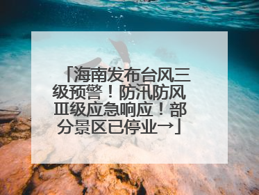 海南发布台风三级预警！防汛防风Ⅲ级应急响应！部分景区已停业→