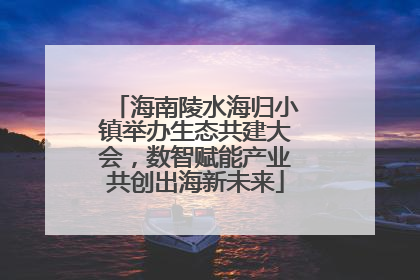 海南陵水海归小镇举办生态共建大会，数智赋能产业共创出海新未来