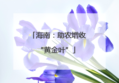 海南：助农增收 “黄金叶”